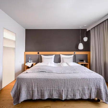 Maier Friedrichshafen