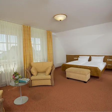 Maier Friedrichshafen