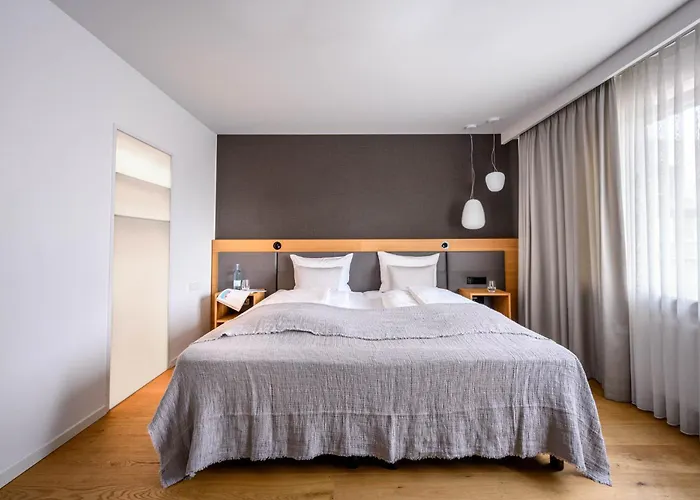 Maier Friedrichshafen