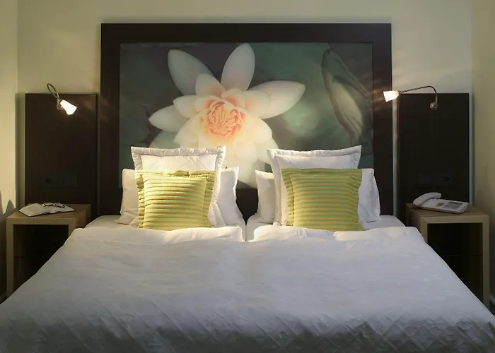 Maier Friedrichshafen