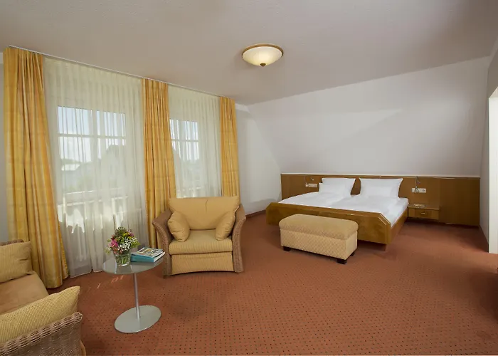 Maier Friedrichshafen